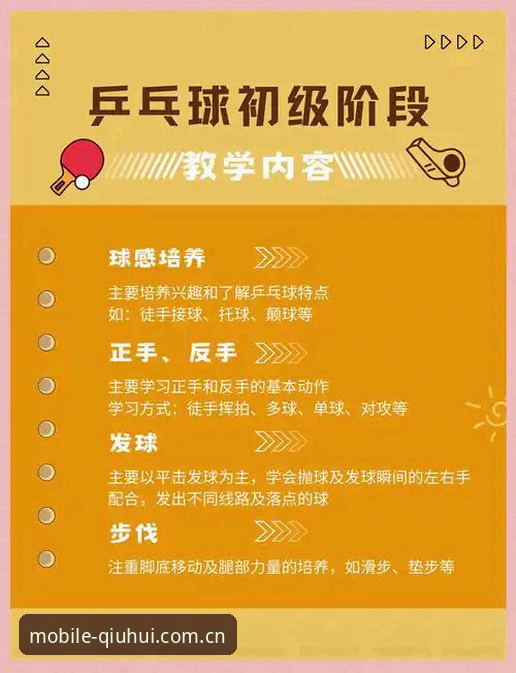 球会体育充值教程使用技巧对比：新手快速入门vs老手进阶攻略，哪个更实用？